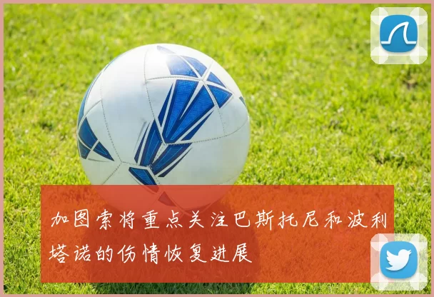 加图索将重点关注巴斯托尼和波利塔诺的伤情恢复进展