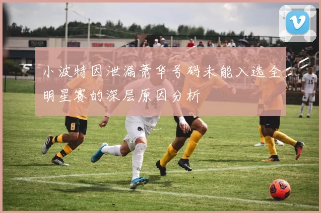 小波特因泄漏萧华号码未能入选全明星赛的深层原因分析